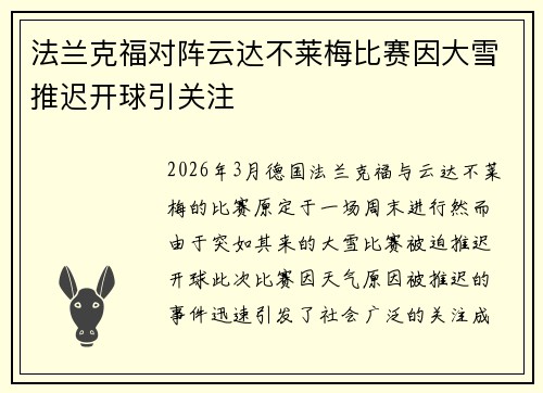 法兰克福对阵云达不莱梅比赛因大雪推迟开球引关注